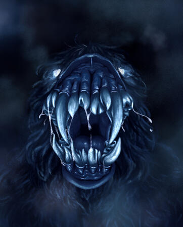 The Teeth The Teeth